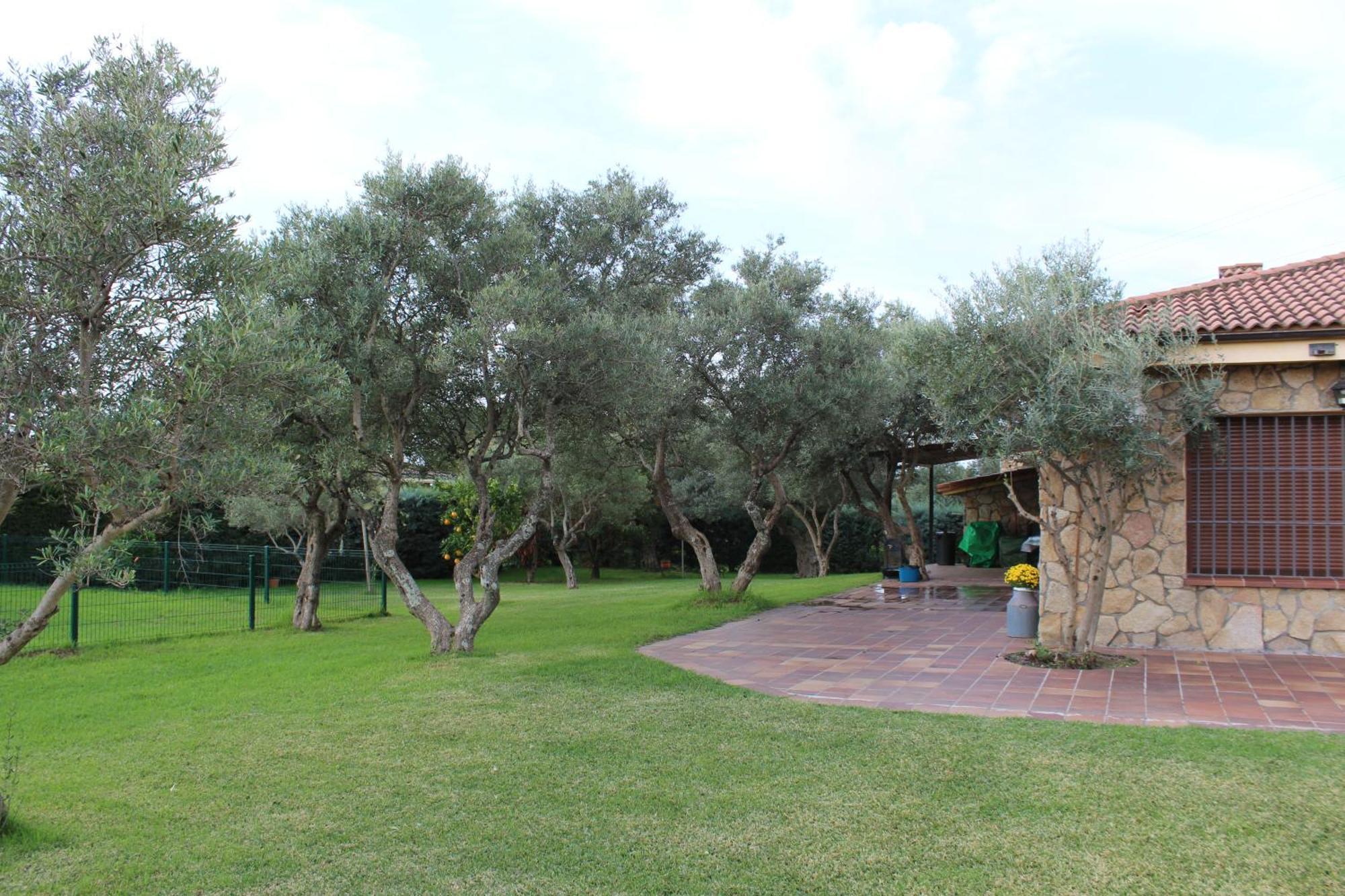 La Huertarrona Apartamento Candeleda Exterior foto