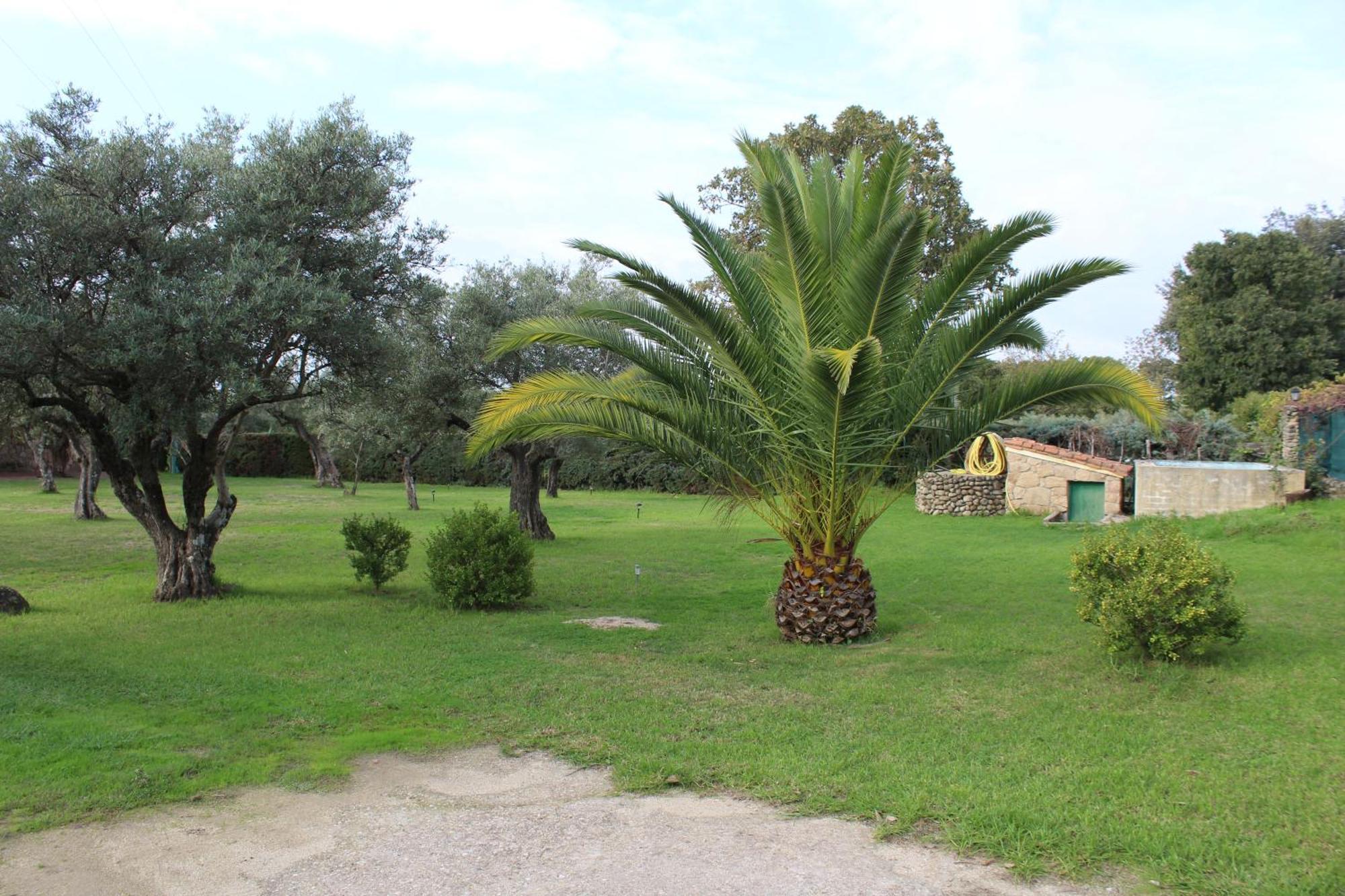 La Huertarrona Apartamento Candeleda Exterior foto